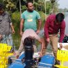 2 Paddle Wheel Aerator - ২ প্যাডেল হুইল এয়ারেটর - Image 7