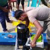2 Paddle Wheel Aerator - ২ প্যাডেল হুইল এয়ারেটর - Image 6