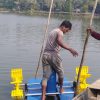 2 Paddle Wheel Aerator - ২ প্যাডেল হুইল এয়ারেটর - Image 5