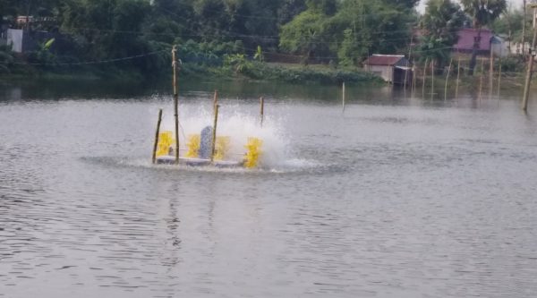 4 Paddle Wheel Aerator - ৪ প্যাডেল হুইল এয়ারেটর - Image 6