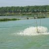 Technical Support in Pond Culture